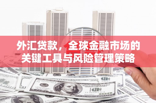 宽城外汇贷款，全球金融市场的关键工具与风险管理策略