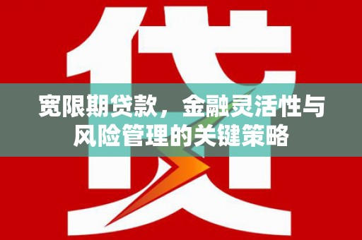 宽城宽限期贷款，金融灵活性与风险管理的关键策略