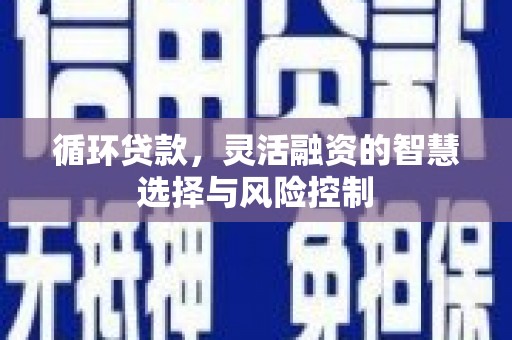 宽城循环贷款，灵活融资的智慧选择与风险控制