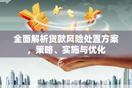 宽城全面解析贷款风险处置方案，策略、实施与优化