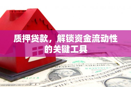 宽城质押贷款，解锁资金流动性的关键工具