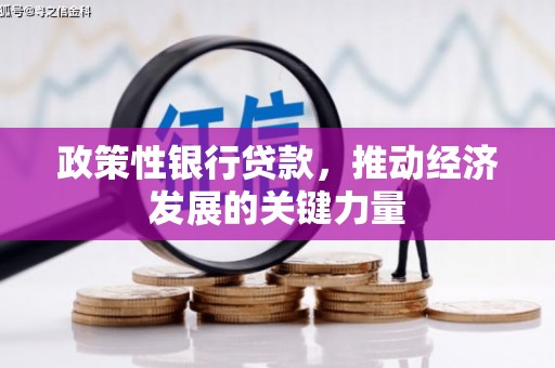 宽城政策性银行贷款，推动经济发展的关键力量