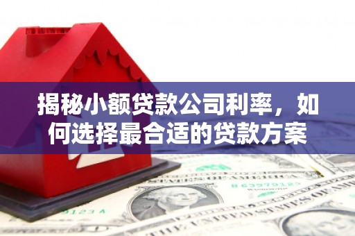 宽城揭秘小额贷款公司利率，如何选择最合适的贷款方案