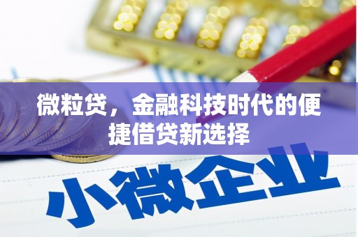 宽城微粒贷，金融科技时代的便捷借贷新选择