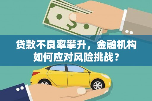 宽城贷款不良率攀升，金融机构如何应对风险挑战？